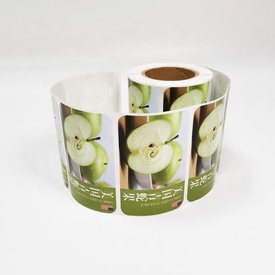 Κύκλος Ετικέτες Φαρμακευτικές Ετικέτες Φωτογραφία Υποστήριξη Ελάχιστη MOQ 1000pcs